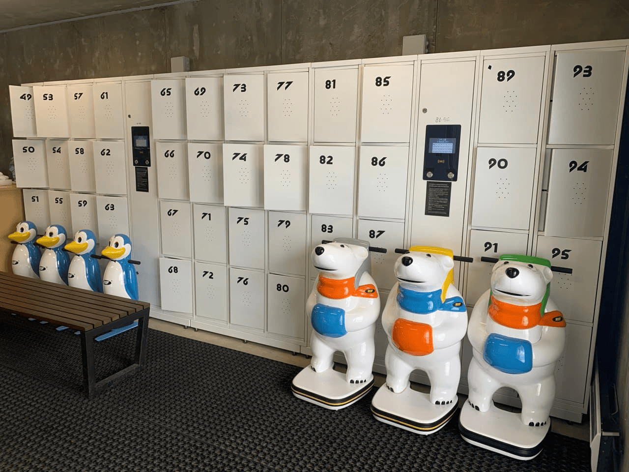 камера хранения